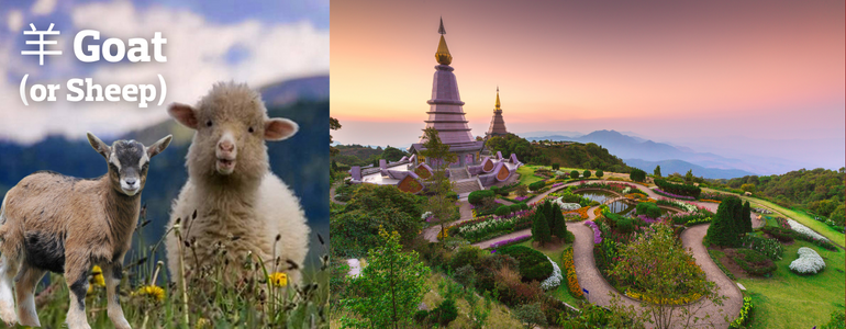 Goat  (or Sheep) - Thailand