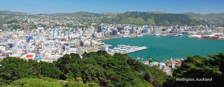 Wellington, Auckland, New Zealand