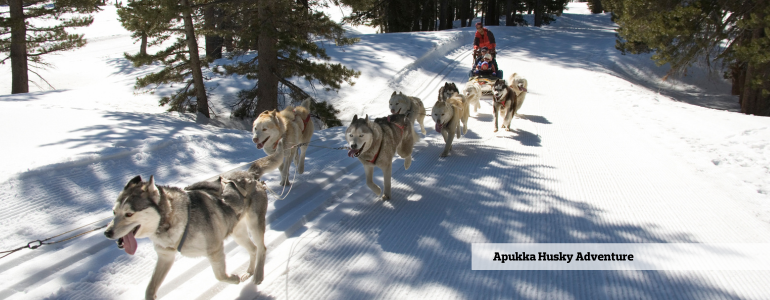 Lapland tours, Finland holiday packages, Finland travel blog