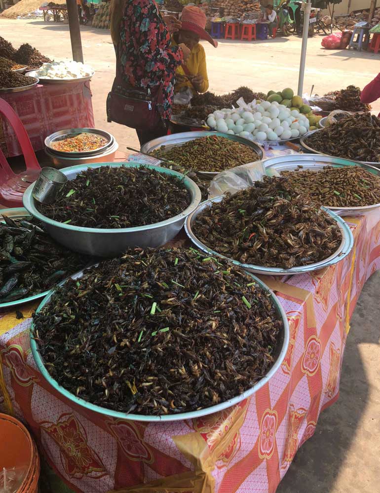 Table of edible bugs in Cambodia