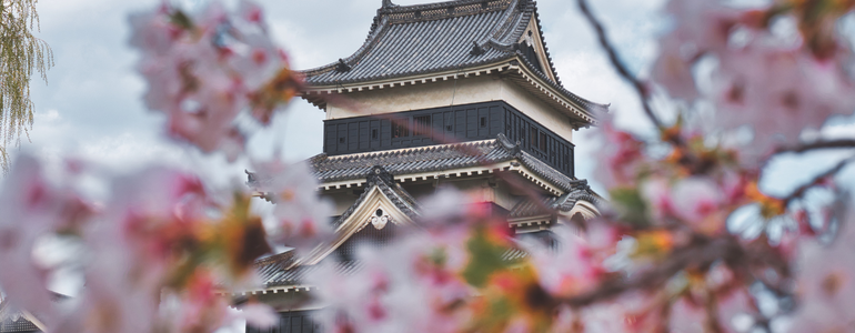 Cherry blossom flowers frame the stone roof of an ancient Japanese Castle