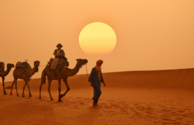 How much does it cost to travel Morocco like a Travel Guide? Image shows Moroccan desert with camel and sun.