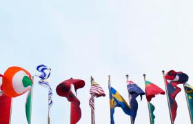 Image of many flags