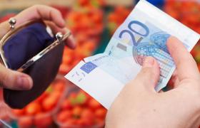 Language of Money - Euro at market